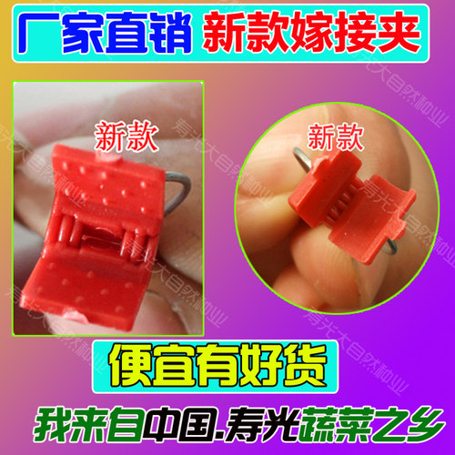 植物蔬菜西瓜黄瓜甜瓜茄子番茄南瓜平口嫁接夹子圆口专用夹方新款