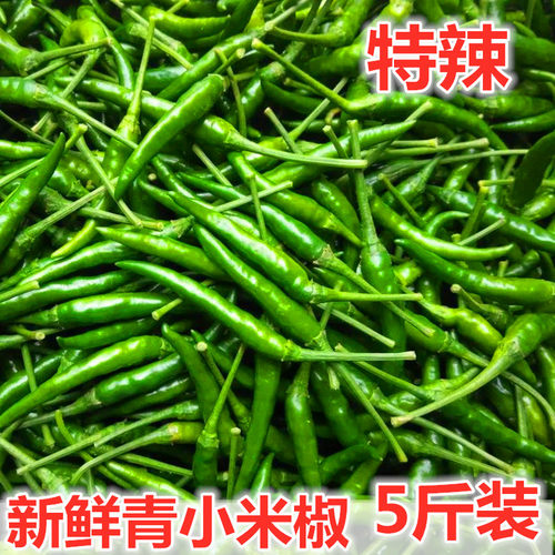 新鲜青小米椒豫乡果特辣
