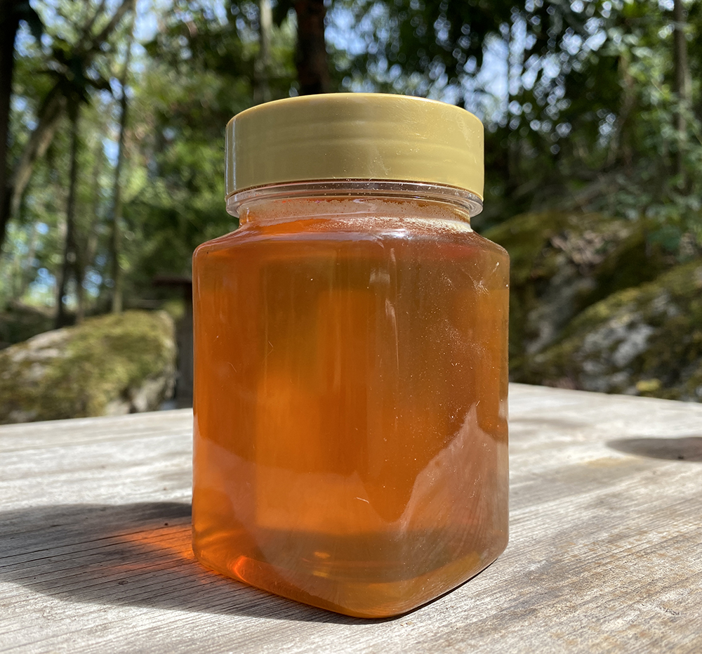 张家界桑植高山土蜂蜜中华蜂百花蜜五倍子蜜一斤装500g