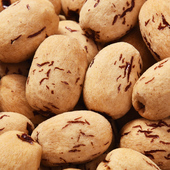 去皮去核新疆红枣灰枣虎皮红枣网红煮粥零食无核 新品 净重发货