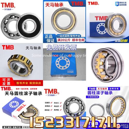 天马TMB轴承N NJ NU RN310 311 312 313 314 315EM 圆柱滚子轴承