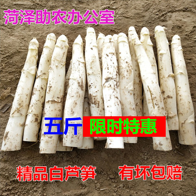 高品质认证万亩芦笋基地现挖现发