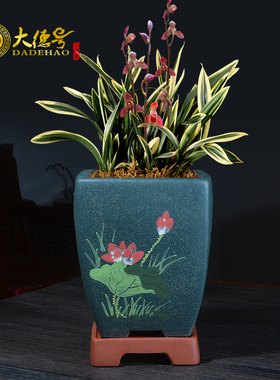 宜兴紫砂四方兰花盆君子兰蝴蝶兰蟹爪兰建兰兰草带孔透气专用盆