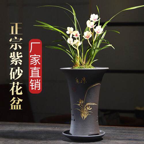 兰花盆陶瓷透气带托盘蓝兰花专用