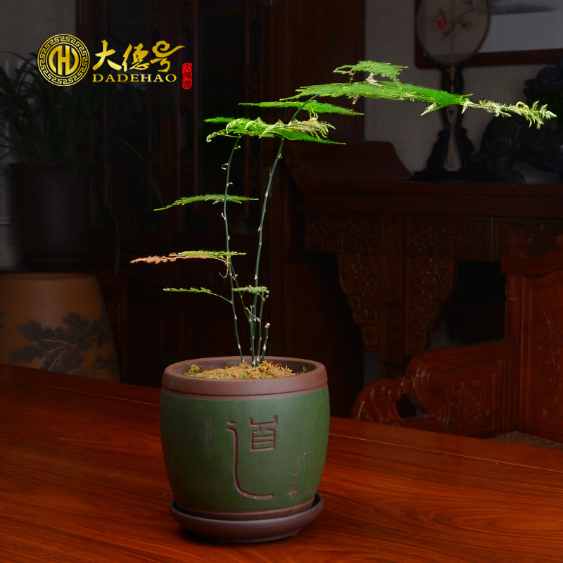 紫砂花盆精品发财树文竹小花盆多肉植物室内盆栽兰花盆宜兴陶瓷