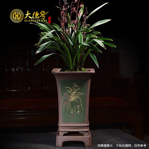 兰花建兰四方形带托盘紫砂花盆