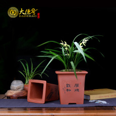 Indoor elegant high - grade ceramic purple orchid flower POTS straight expressions using the six - party orchid orchid basin special bonsai POTS