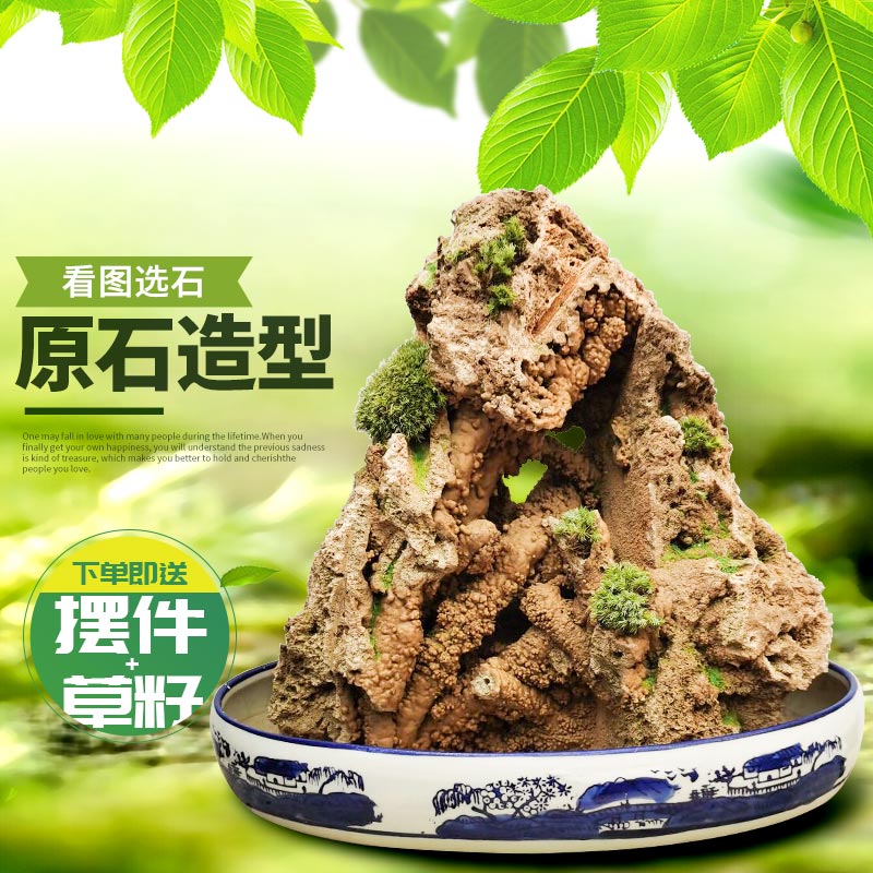 吸水石小型上水石天然原石假山盆景摆件微景观造景山石奇石鱼缸 Изображение 1 吸水石小型上水石天然原石假山盆景摆件微景观造景山石奇石鱼缸 Изображение 1