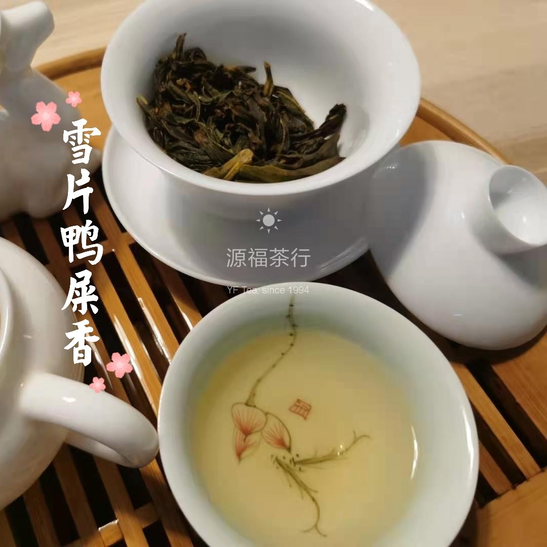 大质山雪片鸭屎香凤凰单丛银花香