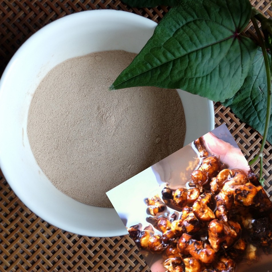 金荞麦兰荞粉野 四川自贡 南桥荞叶七万年荞新鲜干粉 金荞麦根 生