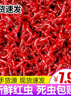 红虫活体鲫鱼野钓蚯蚓拉饵