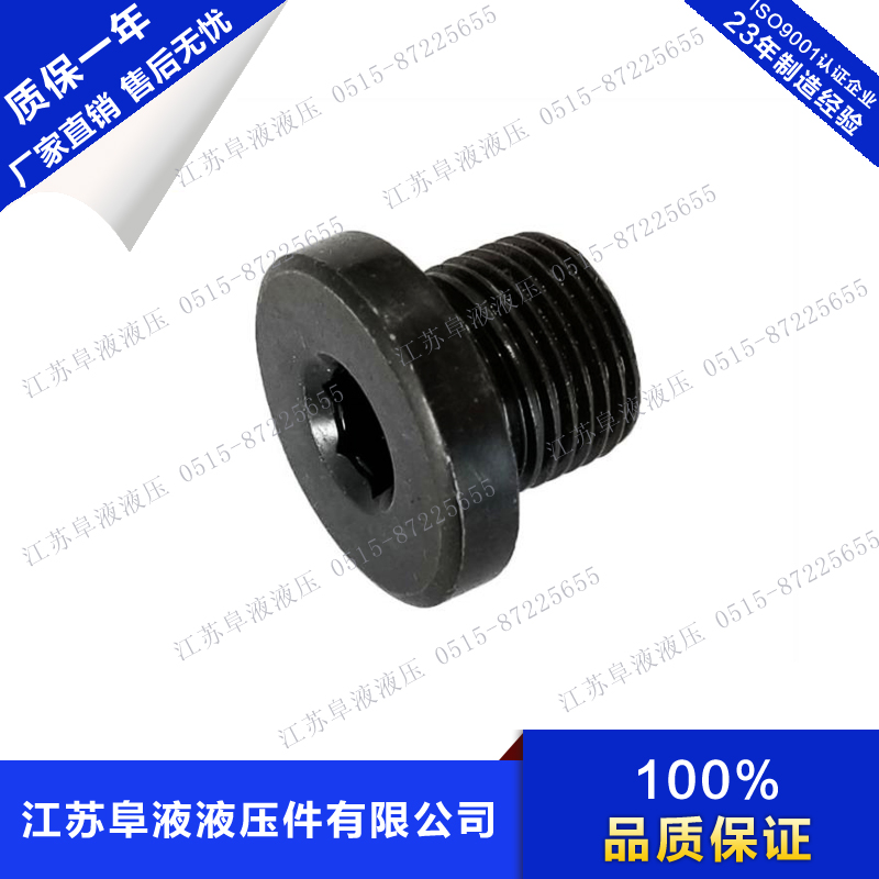 内六角法兰面堵头公制管螺纹