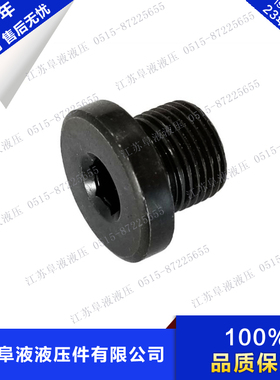 JB1001 内六角法兰面带边堵头 油塞 公制螺塞 JB4444 G管螺纹螺塞