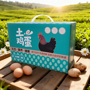 手提土鸡蛋包装盒礼盒纸箱彩箱珍珠棉鸡蛋托防摔高档鸡蛋产品外盒