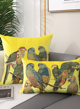 沙发靠垫抱枕客厅丝绒鹦鹉刺绣方枕样板房蓝色腰靠座椅腰垫腰枕套