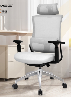 GAVEE功牌人体工学办公椅 电脑椅家用全新独立调节靠背护腰老板椅