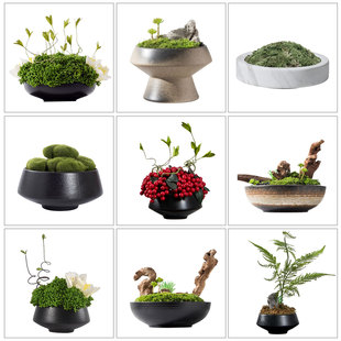 中式美学永生苔藓盆景仿真绿植洽谈桌摆件茶室书房洗手台软装饰品