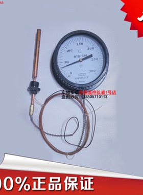 正品宏盛压力式温度计WTQ-280 温度表锅炉温度计 工业温度计 探头