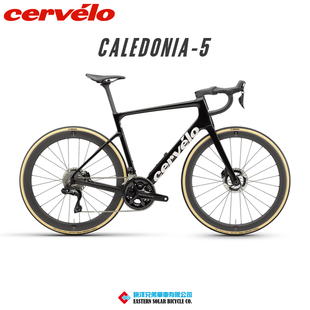 加拿大Cervelo Caledonia5 储物盒设计全内走舒适耐力气动公路车
