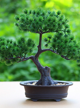 仿真松树家居室内绿色植物装饰假花盆栽摆件假树大迎客松塑料盆景