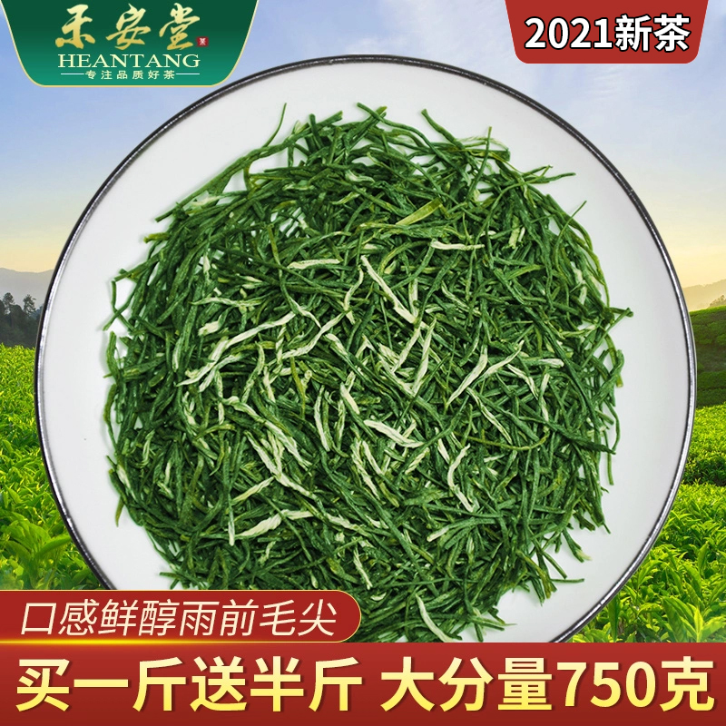 【买一斤送半斤】禾安堂毛尖绿茶新茶嫩芽茶叶信阳茶叶共750g