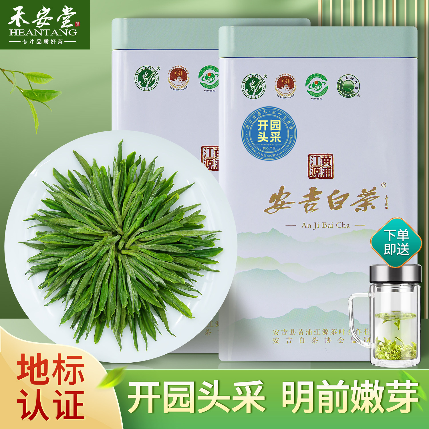禾安堂安吉白茶2026新茶明前特级茶叶自己喝绿茶官方正品旗舰店
