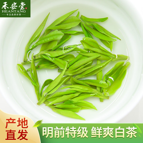 明前特级安吉白茶自己喝袋装