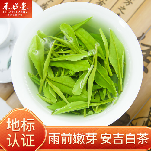 实惠口粮一级安吉白茶袋装