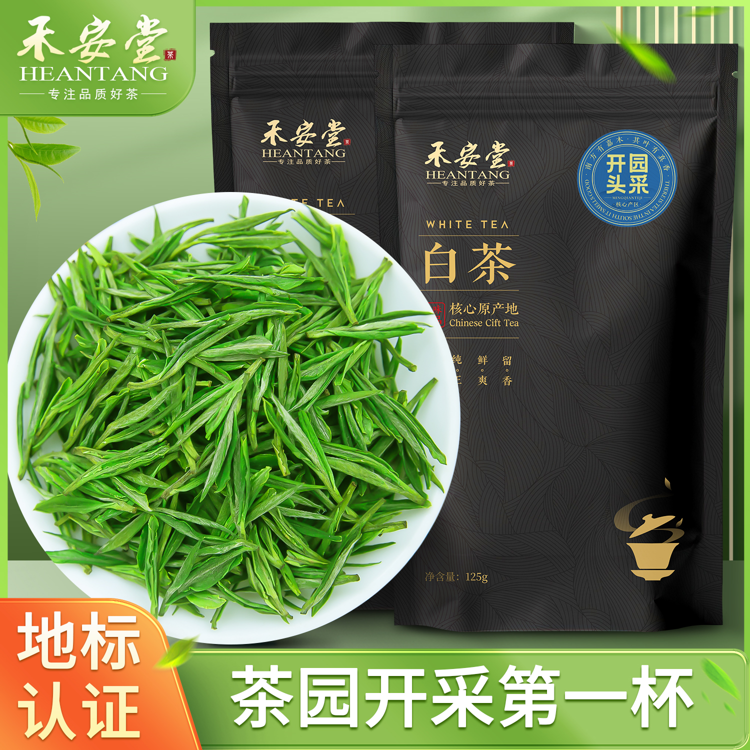 2025年新茶上市明前特級安吉白茶