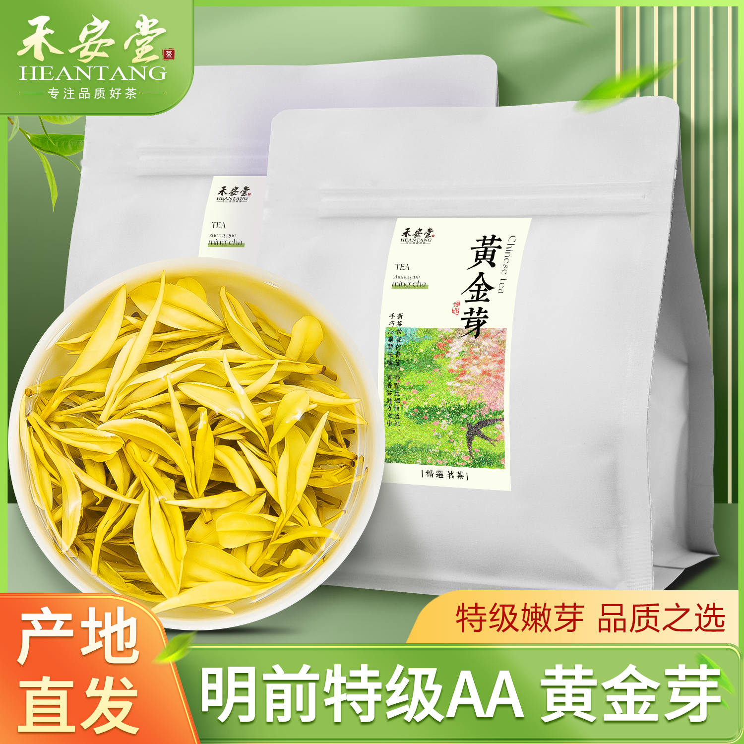 明前新茶黃金芽袋裝春茶