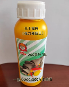 平菇转潮王三十完醇强力催菇王