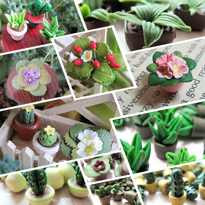 派淇汏食玩diy小屋dollhouse迷你家模型成品配件草莓多肉植物