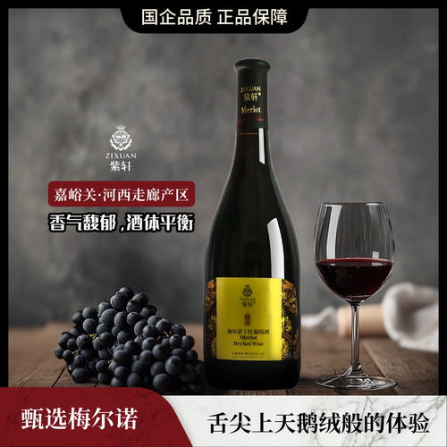 甄选梅尔诺(梅洛) 干红葡萄酒 13%vol 750mL - 封面
