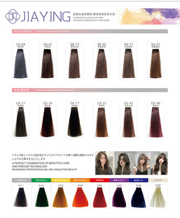 嘉瀛染发膏毛板 染发剂色卡48色理发店专用染膏色板