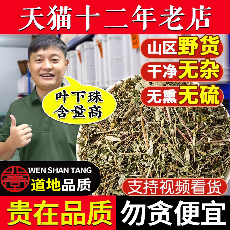 叶下珠中药材500g新货精选