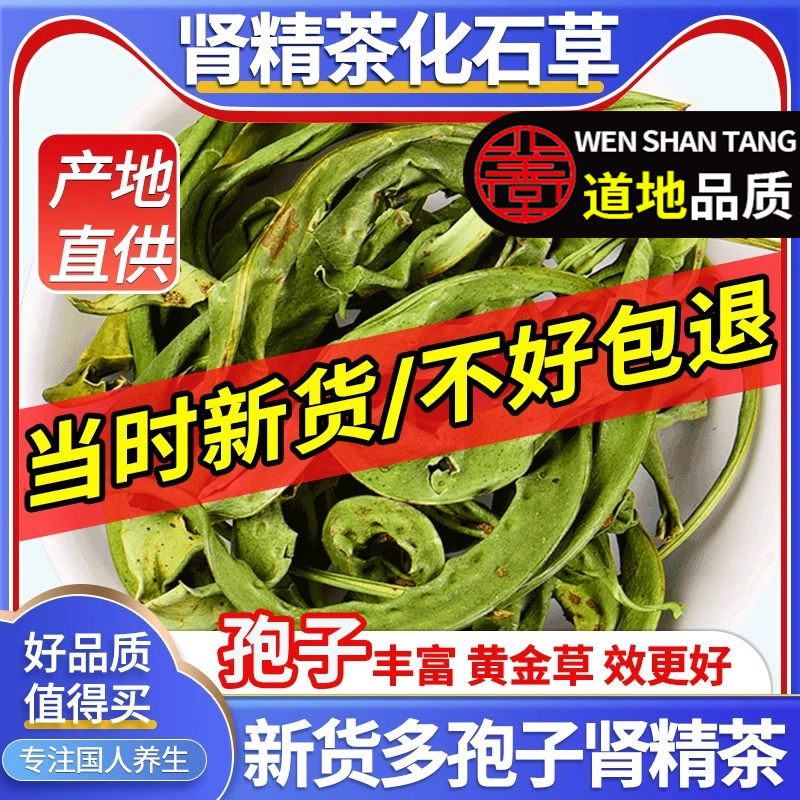 东北吉林长白山精选化石草肾精草