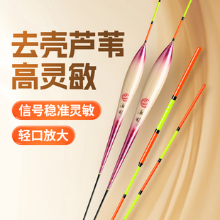 渔眼去壳芦苇浮漂细尾加粗尾鲫鲤鱼混养鱼漂黑坑芦苇漂底钓