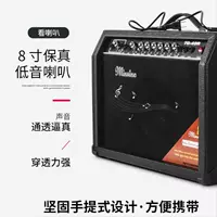 Công cụ âm nhạc công suất cao loa đường ca sĩ hát loa loa điện guitar điện loa di động - Loa loa loa lg pk3