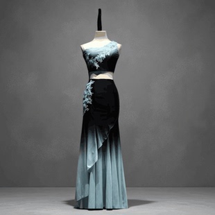 新款成人傣族舞蹈服装彩云之南孔雀舞演出服艺考包臀练习裙定制做