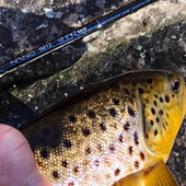 MAXCATCH飞钓竿3米4节布杆桶溪流234号 Nano Nymph白条翘嘴鳟鱼竿