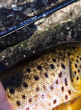 MAXCATCH飞钓竿3米4节布杆桶溪流234号 Nano Nymph白条翘嘴鳟鱼竿