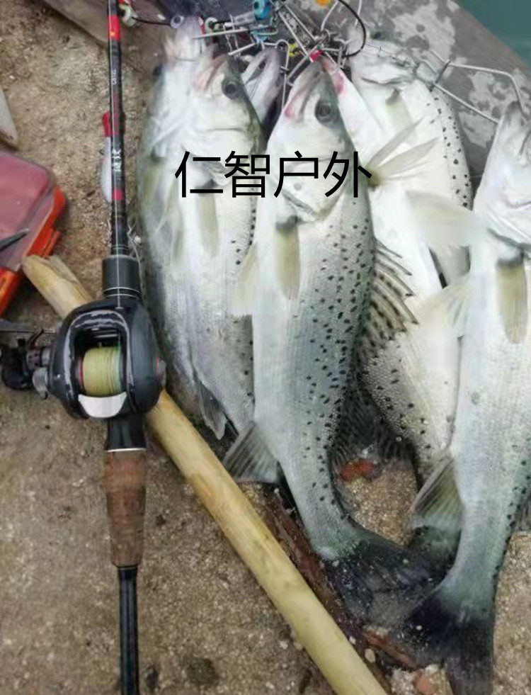 78米l调直柄枪柄路亚竿翘嘴鲈鱼鲶鱼泛用竿水库