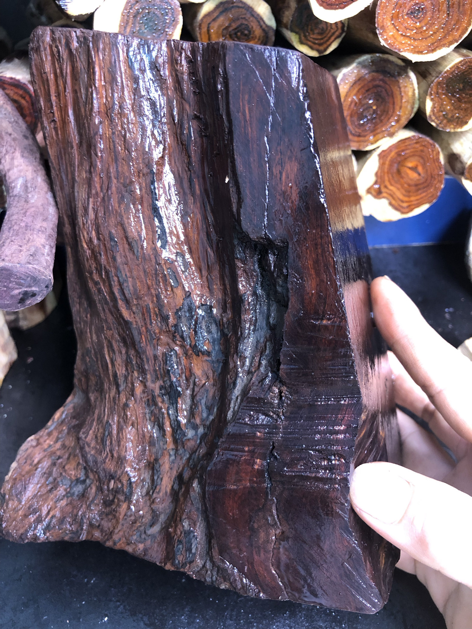 海南黄花梨紫油梨老料沉水高油密水波金丝收藏手串摆件原木2.6斤