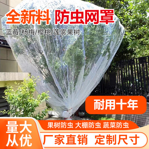 防虫网罩莲雾蓝莓杨梅防虫网罩