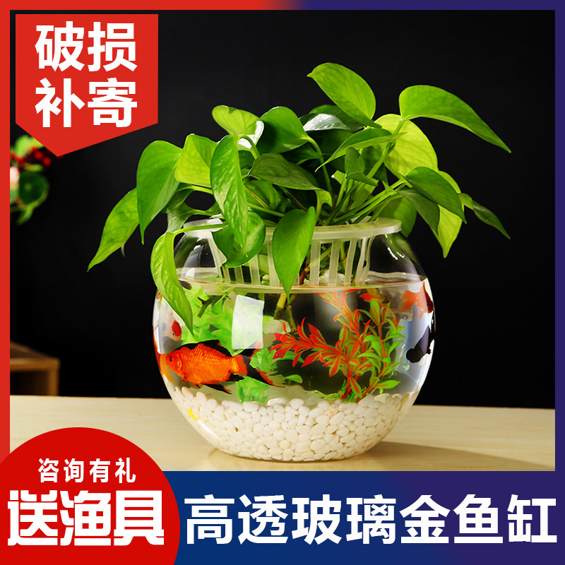 金鱼缸加厚玻璃小型桌面水族箱家用乌龟缸客厅鱼缸水培绿萝小鱼缸