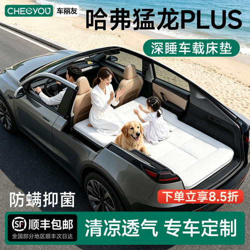 哈弗猛龙PLUS专用车载旅行床