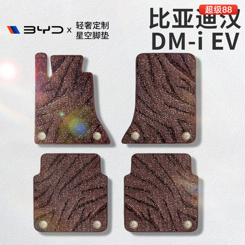 适用于比亚迪汉dmiev星空毯脚垫