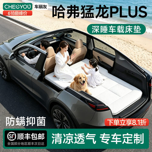 哈弗猛龙PLUS专用车载旅行床