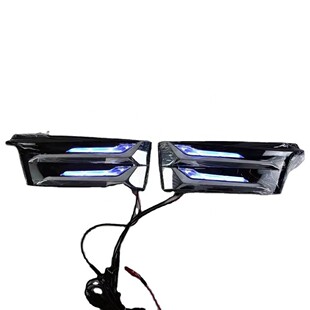 适用于威尔法30系VELLFIRE30系蒙娜丽莎日行灯 羽毛灯 中网灯改装