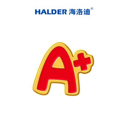 HALDER学习成绩A+金属胸针徽章